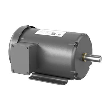 3 hp 145T Frame Three Phase AC Motor