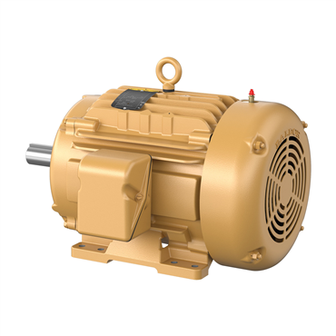 20 hp 256T Frame Three Phase AC Motor