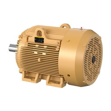 100 hp 405T Frame Three Phase AC Motor