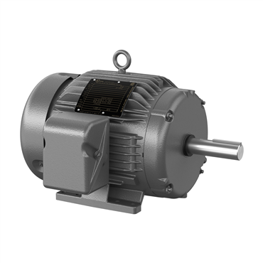 10 hp 215TZ Frame Three Phase AC Motor