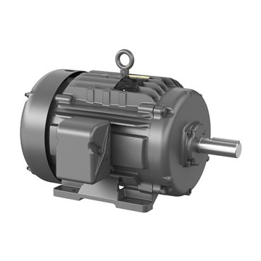 15 hp 254T Frame Three Phase AC Motor