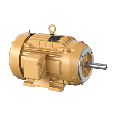 15 hp 254JM Frame Three Phase AC Motor