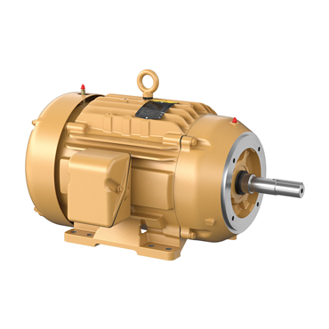 15 hp 254JM Frame Three Phase AC Motor