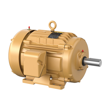 20 hp 256T Frame Three Phase AC Motor