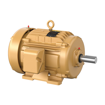 20 hp 256T Frame Three Phase AC Motor