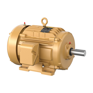 7 1/2 hp 256T Frame Three Phase AC Motor