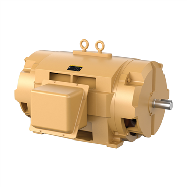 400 hp 449TS Frame Three Phase AC Motor