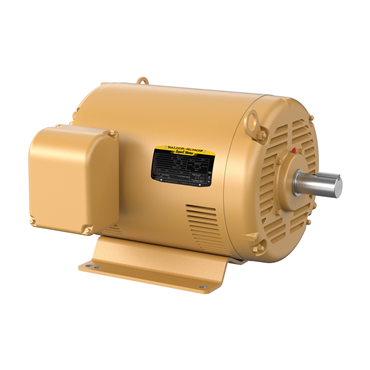 60 hp 364TS Frame Three Phase AC Motor