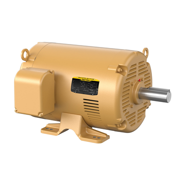 75 hp 365T Frame Three Phase AC Motor
