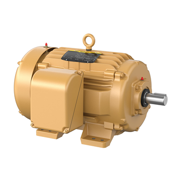 30 hp 286TS Frame Three Phase AC Motor