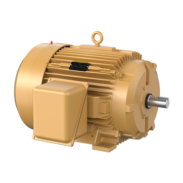 60 hp 364TS Frame Three Phase AC Motor