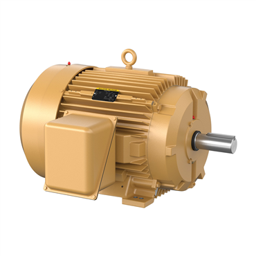 75 hp 365T Frame Three Phase AC Motor
