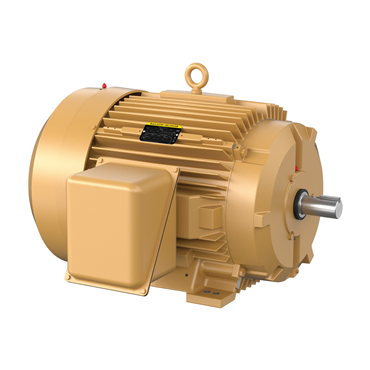 75 hp 365TS Frame Three Phase AC Motor