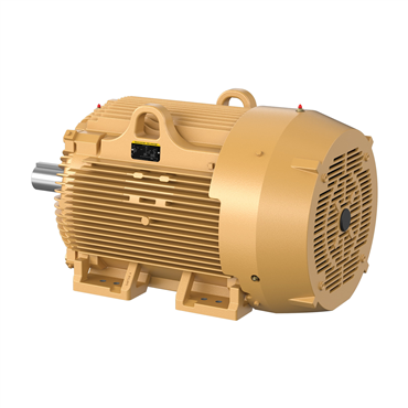 150 hp 445T Frame Three Phase AC Motor