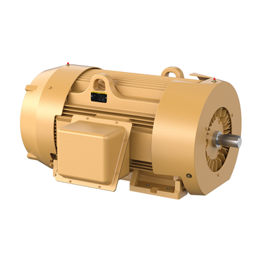 250 hp 449TS Frame Three Phase AC Motor
