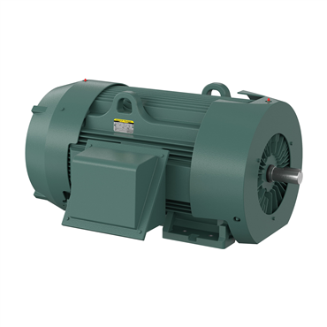 250 hp 449TS Frame Three Phase AC Motor