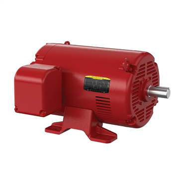 100 hp 404TS Frame Three Phase AC Motor