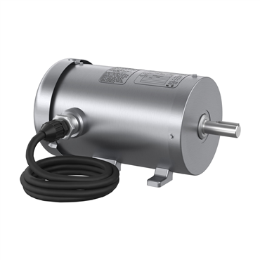 3 hp 145T Frame Three Phase AC Motor