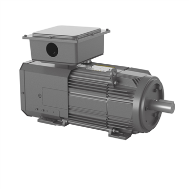 40 hp FL2173Z Frame Three Phase AC Motor