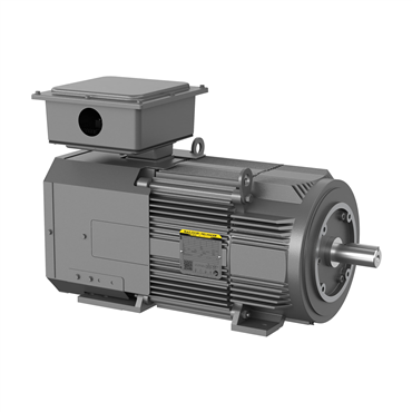 40 hp FL2562Z Frame Three Phase AC Motor