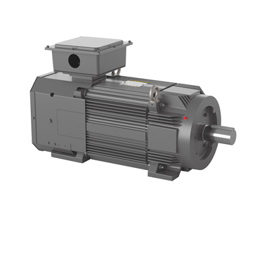 125 hp FL2898Z Frame Three Phase AC Motor