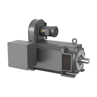 250 hp RL3698 Frame Three Phase AC Motor