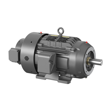 20 hp 256TC Frame Three Phase AC Motor