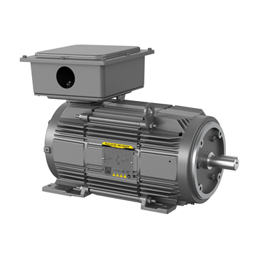 10 hp FL2162C Frame Three Phase AC Motor