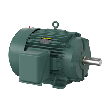 60 hp 364T Frame Three Phase AC Motor