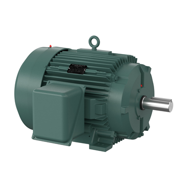 75 hp 365T Frame Three Phase AC Motor