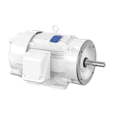 30 hp 286JM Frame Three Phase AC Motor