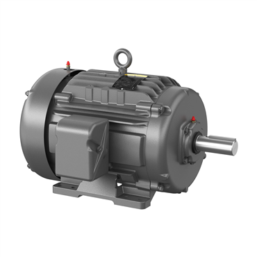 10/0 hp 254T Frame Three Phase AC Motor