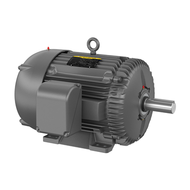 25/0 hp 324T Frame Three Phase AC Motor