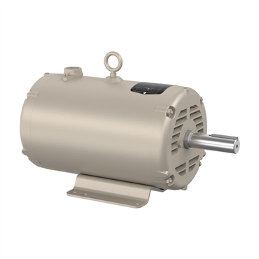 7 hp 184TZ Frame Single Phase AC Motor
