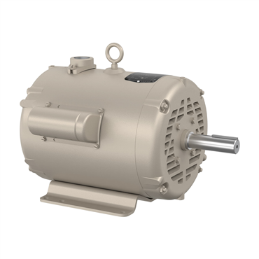 10 - 15 hp 215Z Frame Single Phase AC Motor