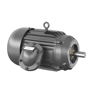 15 hp 254TC Frame Three Phase AC Motor