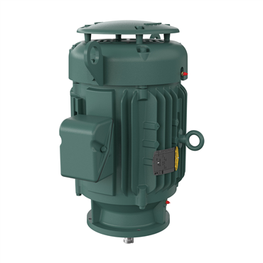 20 hp 256HP Frame Three Phase AC Motor