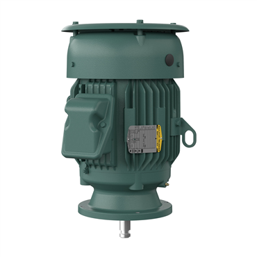 7 1/2 hp 213HP Frame Three Phase AC Motor