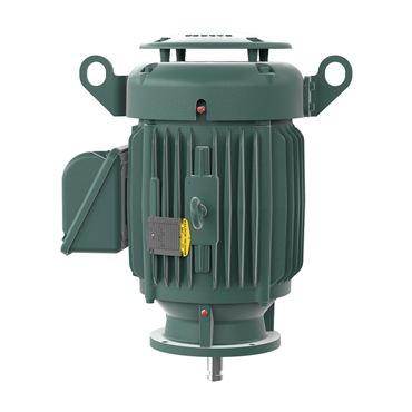 25 hp 284HP Frame Three Phase AC Motor