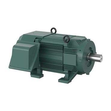 75 hp HL365T Frame Three Phase AC Motor