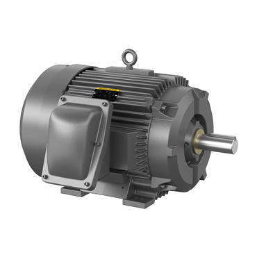 60 hp 364T Frame Three Phase AC Motor