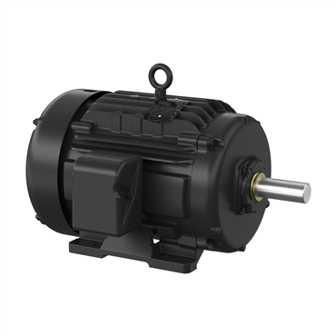 10 hp 256T Frame Three Phase AC Motor