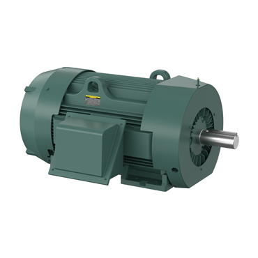 300 hp 449T Frame Three Phase AC Motor