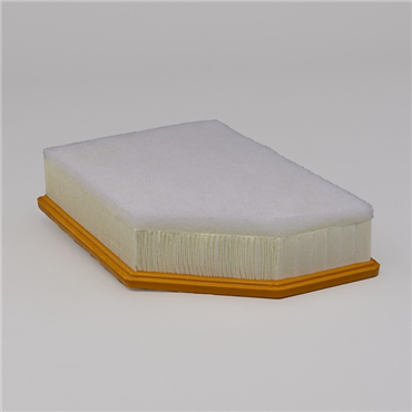 DonaldsonP644956