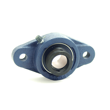 Cast Iron 2-Bolt Eccentric Collar Dual Seals (B-Type) Flange Bearing Mounted Unit