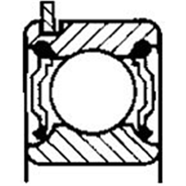 MRC Bearing Service309SZZCG