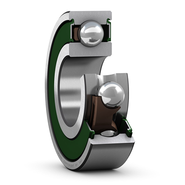 SKF6004-2RZTN9/C3VT162